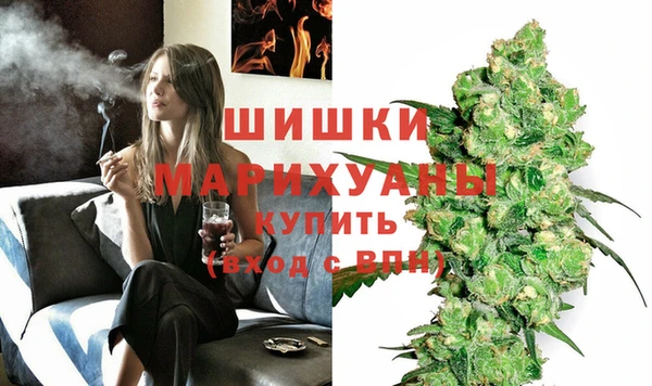 ПСИЛОЦИБИНОВЫЕ ГРИБЫ Коряжма