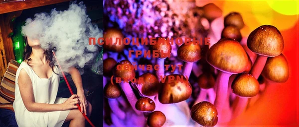 ПСИЛОЦИБИНОВЫЕ ГРИБЫ Коряжма