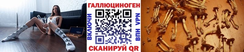 Галлюциногенные грибы ЛСД  shop официальный сайт  Отрадное  где купить наркотик  KRAKEN ONION 